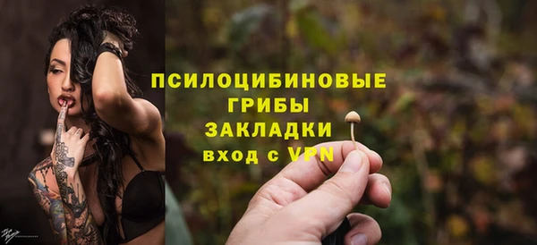 твердый Алексин