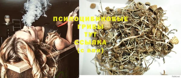 ГАЛЛЮЦИНОГЕННЫЕ ГРИБЫ Алзамай