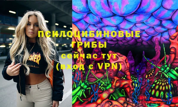 твердый Алексин