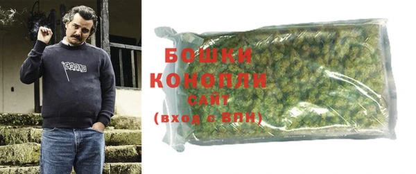 ГАЛЛЮЦИНОГЕННЫЕ ГРИБЫ Алзамай